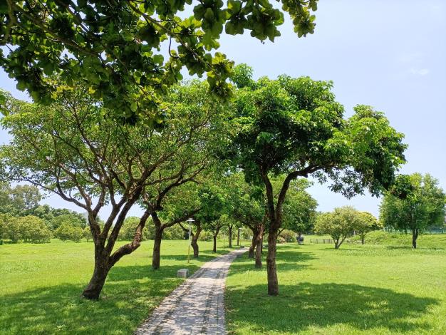 花蓮市勞工運動公園綠美化_0