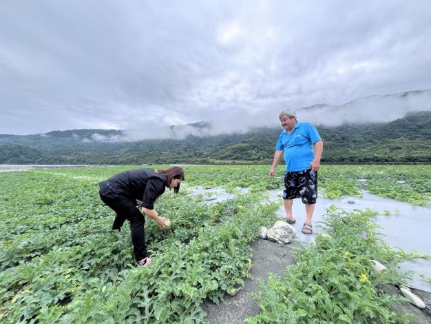 照片中為農友指導汰除瓜藤中不需保留的小果