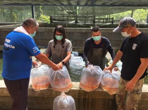 魚苗配售