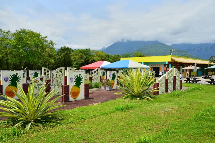 【富興客棧】土鳳梨｜富興社區農村再造，活化鳳梨產業.JPG