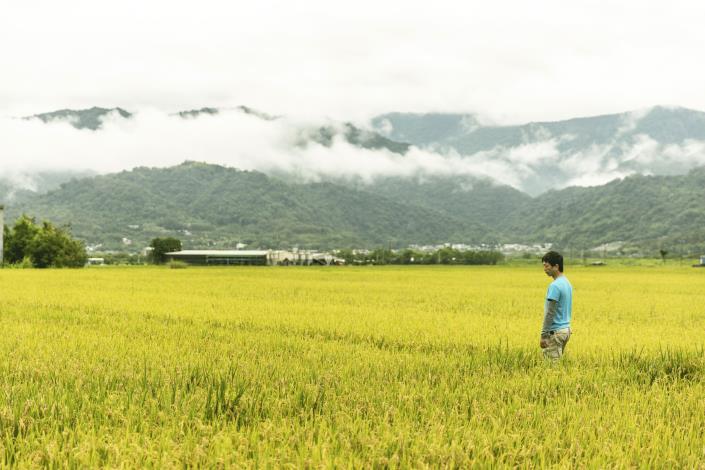 【天禾玉】有機米｜彭詠順、彭鏡興｜客家人物誌 (2)