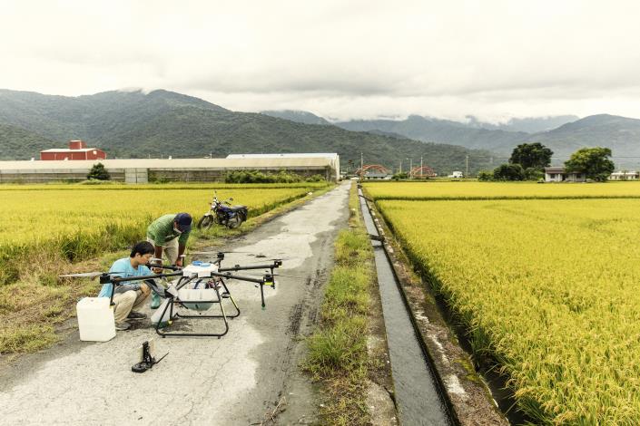 【天禾玉】有機米｜彭詠順、彭鏡興｜客家人物誌 (6)