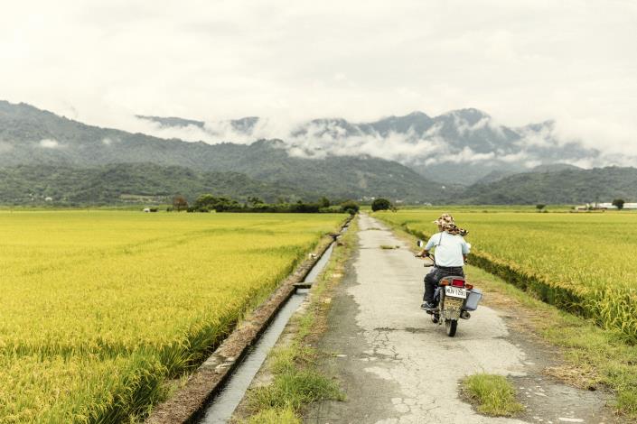 【天禾玉】有機米｜彭詠順、彭鏡興｜客家人物誌 (11)