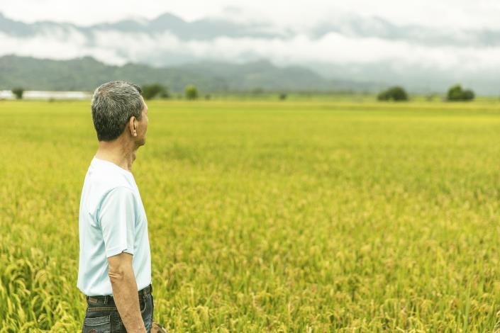 【天禾玉】有機米｜彭詠順、彭鏡興｜客家人物誌 (3)