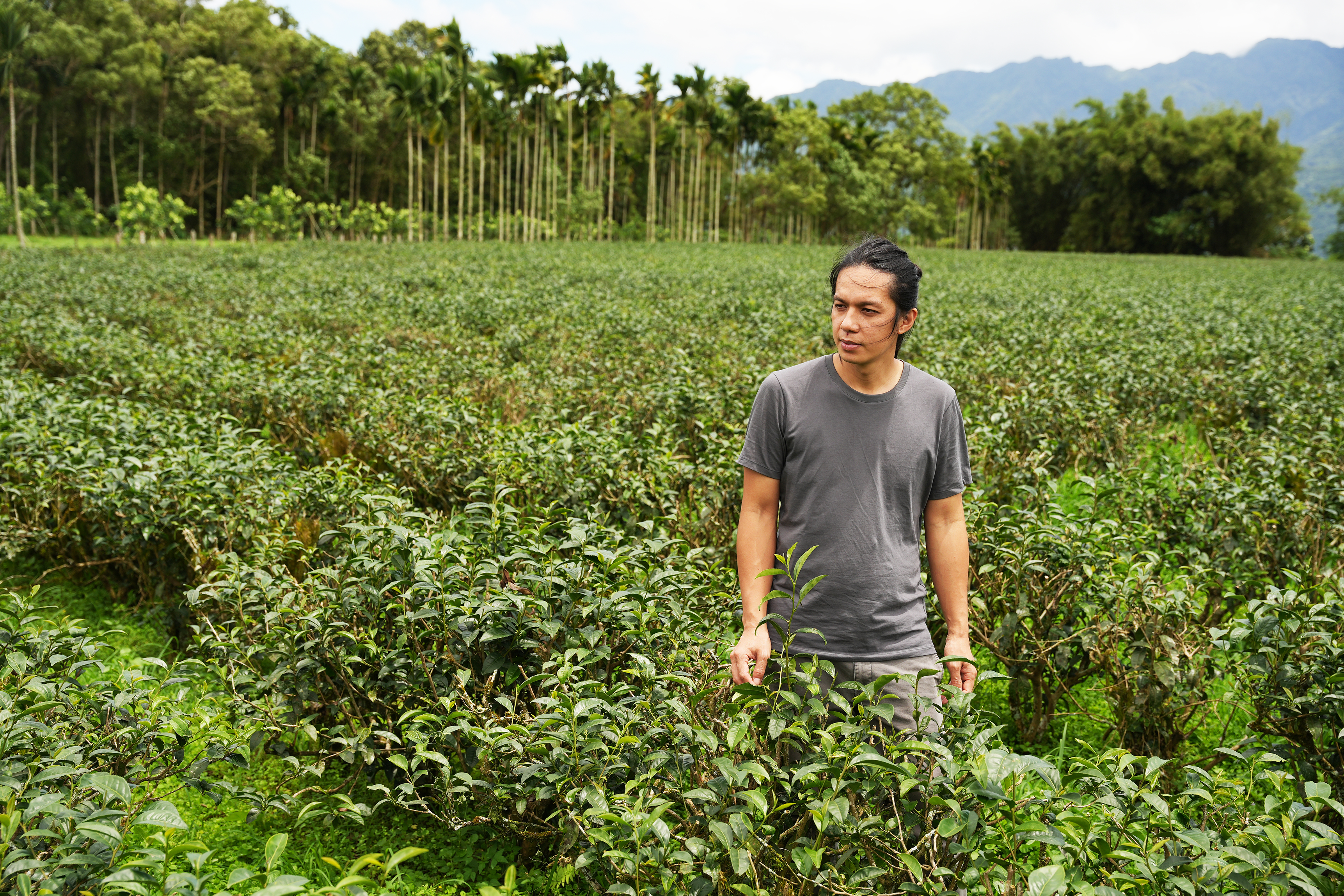 23e4e75e-f42e-4e97-87e3-82383a8cf23c