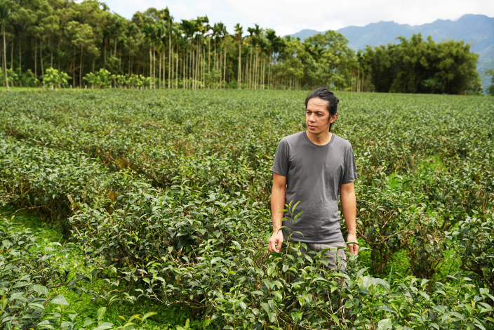 23e4e75e-f42e-4e97-87e3-82383a8cf23c