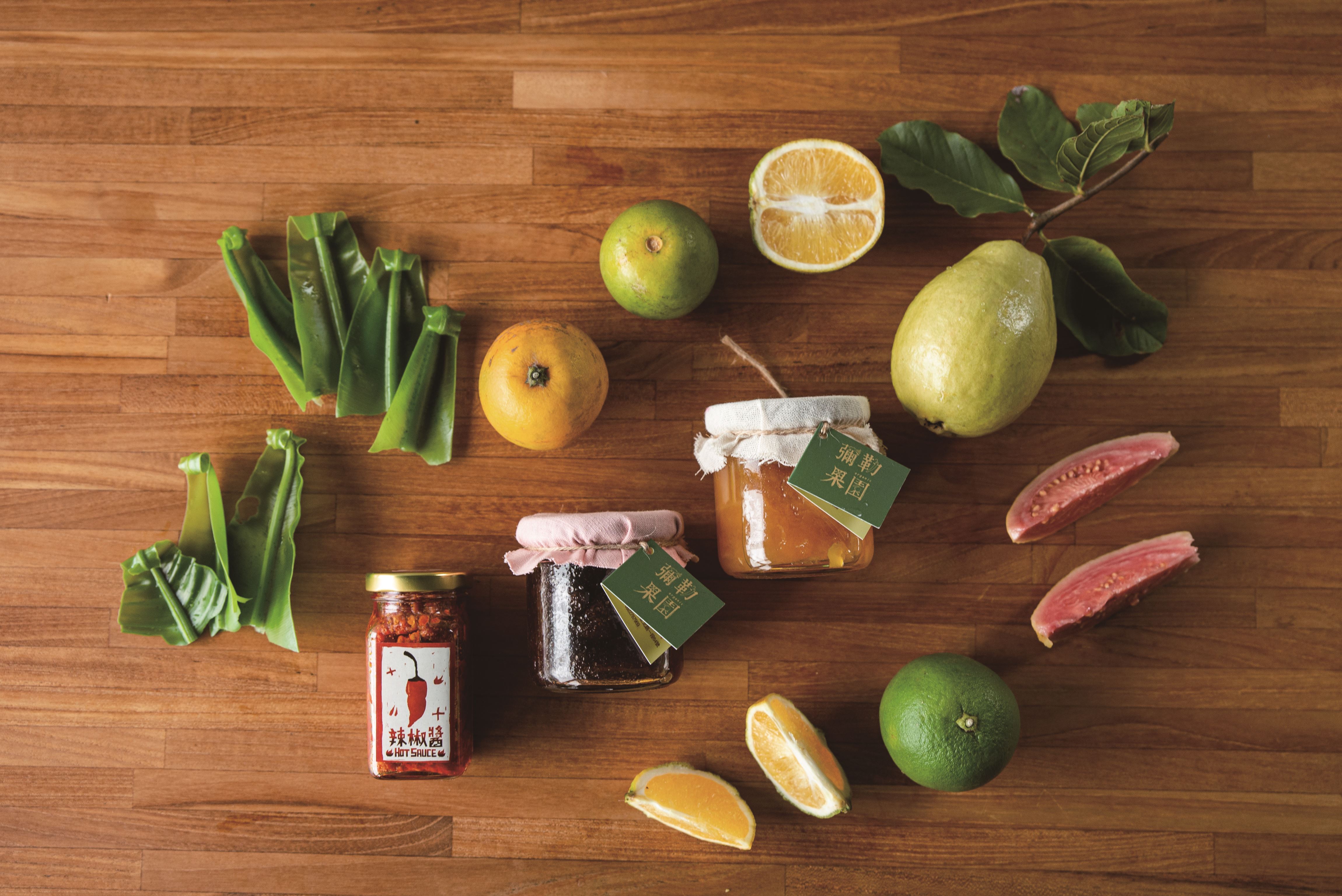 V【農業|彌勒果園】《來去洄瀾尋尾》 (1)