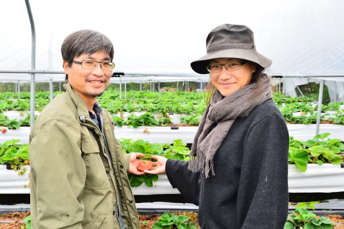 【右山果實】有機草莓 (2).JPG