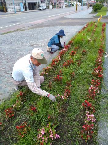 202002110844427531950