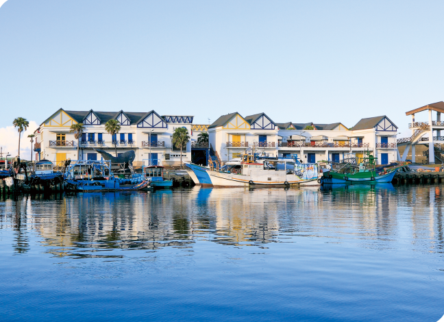 d3e7c3df-7e4d-432f-8612-d2e14119579c