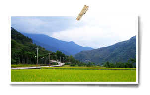 201312060319032084380854