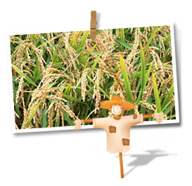 201312060319032084380854