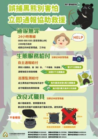 保育組黑熊DM圖檔