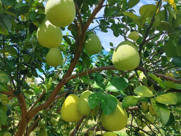 485407996_1058118899684584_2275752102766349948_n